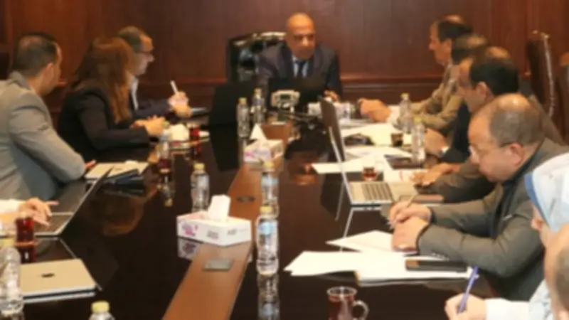 وزير الكهرباء يبحث مع نكسوس أنالاتيكا ضوابط سوق الكهرباء