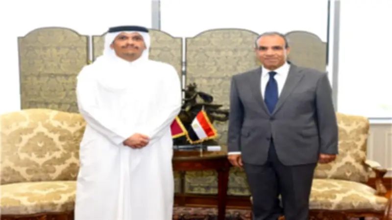 وزير الخارجية المصري يستقبل نظيره القطري لبحث التعاون والتطورات الإقليمية
