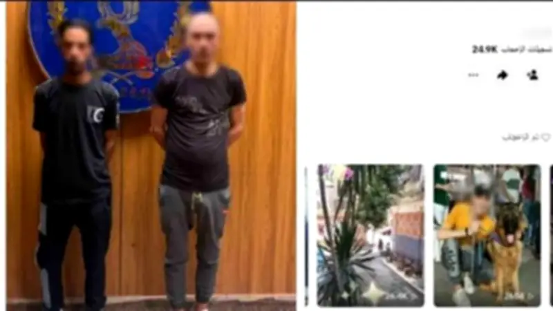 كشف حقيقة اتهامات البلطجة وترويج المخدرات داخل مقهى بالقاهرة