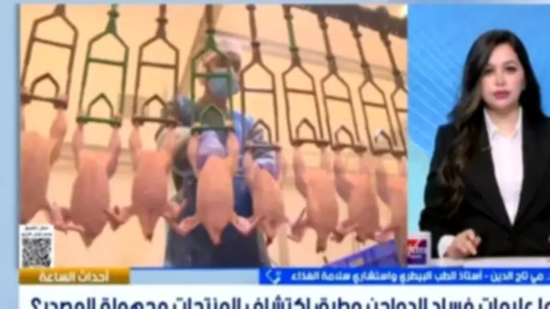 خبيرة تحذر: التتبيل لا يخفي فساد الدواجن وإعادة التجميد خطر كبير