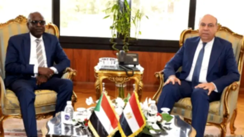 وزير الطيران المصري يبحث مع نظيره السوداني تعزيز التعاون الجوي