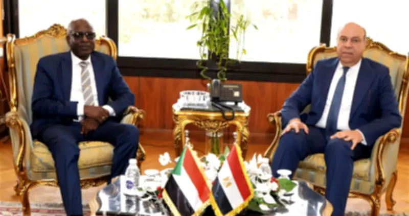 الحفني: حريصون على تقديم أوجه الدعم لتطوير قطاع الطيران المدني بالسودان