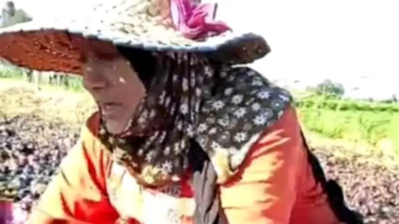 صرخة مزارعة من السنبلاوين: خسائرنا تتخطى الملايين بعد حريق البصل