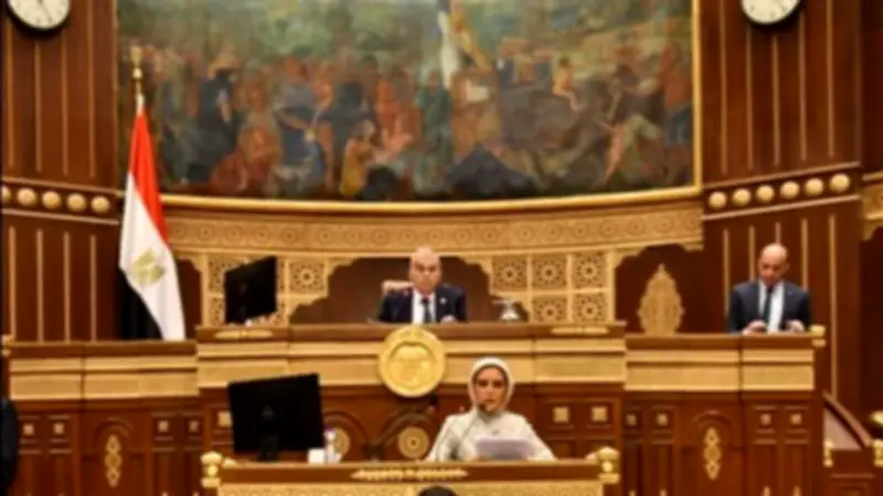 مجلس الشيوخ يحيل تقارير اللجان إلى الحكومة لتنفيذ التوصيات