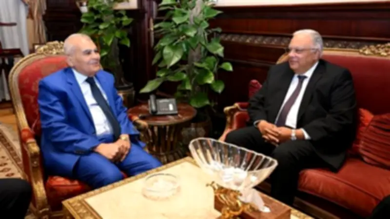 رئيسا الشيوخ والقومي لحقوق الإنسان يبحثان تعزيز التعاون في ملف الحقوق