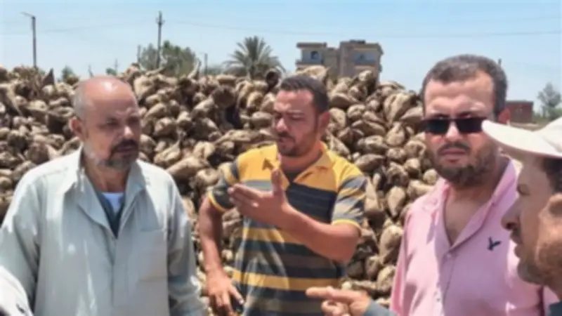 استجابة فورية من زراعة الدقهلية لأزمة نقل بنجر السكر في غزالة