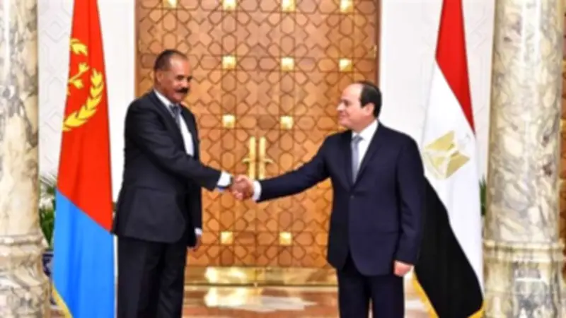 الرئيس الإريتري يشيد بالعلاقات مع مصر ويدعم التعاون التنموي