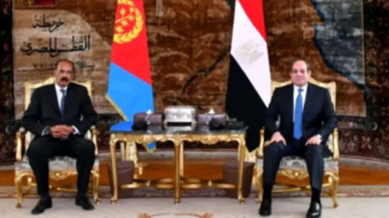 رئيس إريتريا يشيد بجهود مصر لتحقيق السلام والتنمية بالقرن الأفريقي