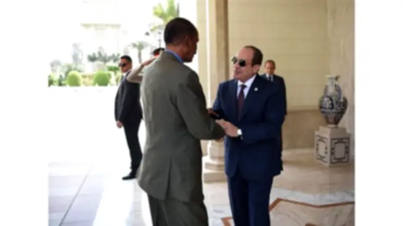 السيسي وأفورقي يبحثان دعم السودان وأمن البحر الأحمر بالقاهرة