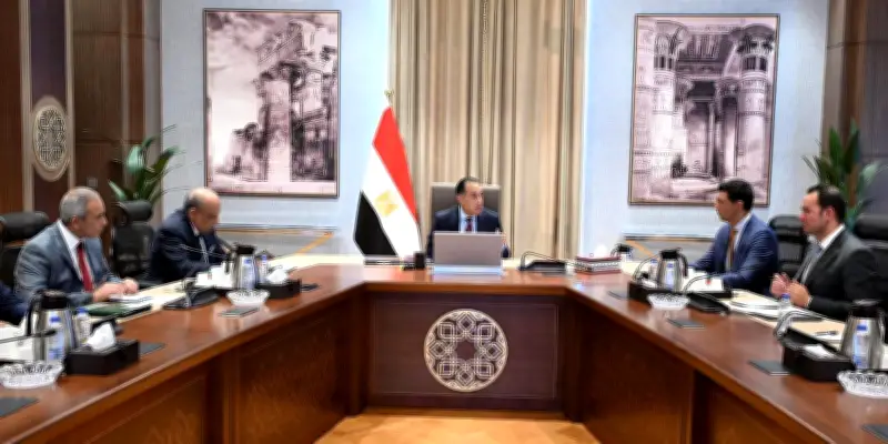 رئيس الوزراء يوجه بتسريع إجراءات تركيب ألواح الطاقة الشمسية بالمصانع والمنازل