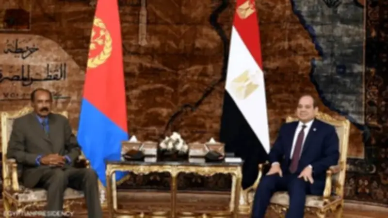 خبير علاقات دولية: زيارة الرئيس الإريتري لمصر تعكس متانة العلاقات