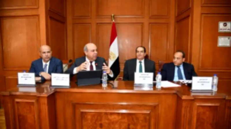 وزير الطيران يعرض استراتيجية تطوير القطاع أمام مجلس الشيوخ