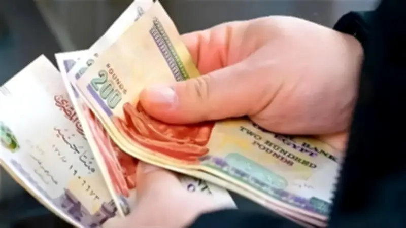 فخري الفقي يدعو لربط الدعم بالمؤشرات السعرية للحفاظ على القوة الشرائية