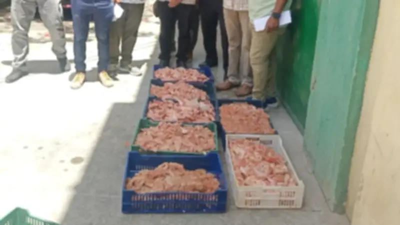 ضبط نصف طن لحوم غير صالحة ومذبوحة خارج المجازر في المنيا