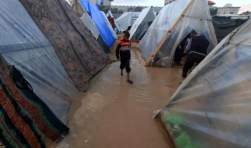 وزير الصحة الفلسطيني: الوضع في الضفة والقدس الشرقية يتدهور والنازحون يعانون أمراضا خطيرة