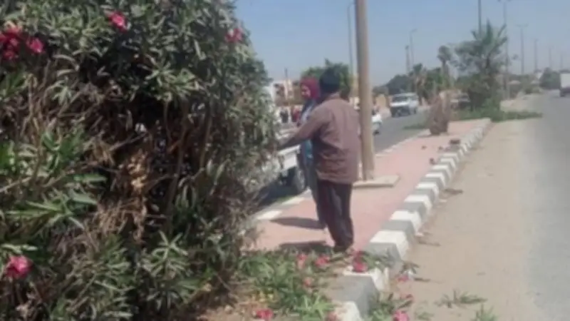 المنيا تواصل حملات النظافة ورفع المخلفات للحفاظ على البيئة
