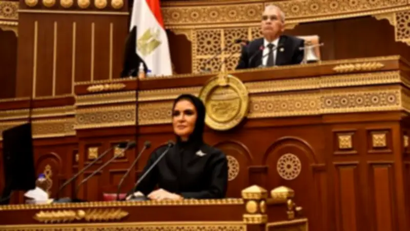 نواب الشيوخ يطالبون بتحفيز القطاع الخاص ودمج الاقتصاد غير الرسمي