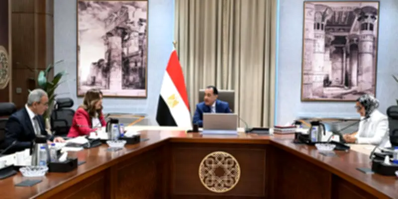 مدبولي يتابع تنفيذ المشروعات الخدمية بالوادي الجديد