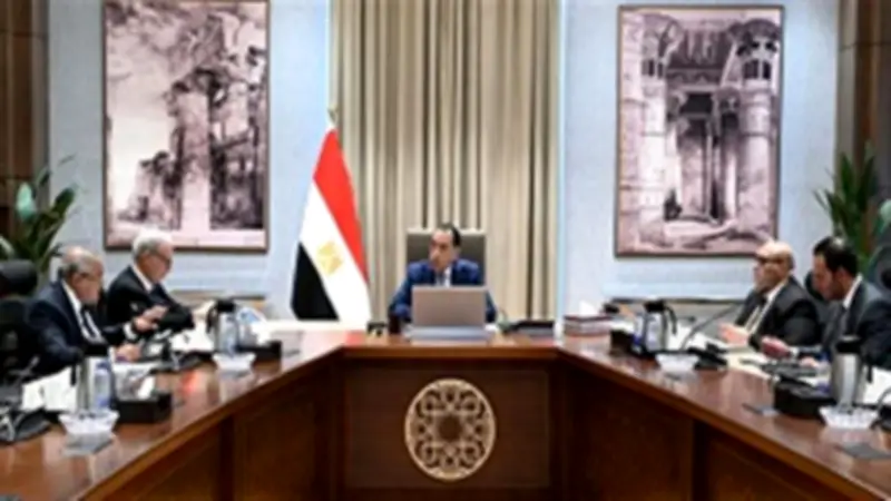 مدبولي: برنامج شامل لإعادة هيكلة الشركات المملوكة للدولة وتحسين الأداء المالي
