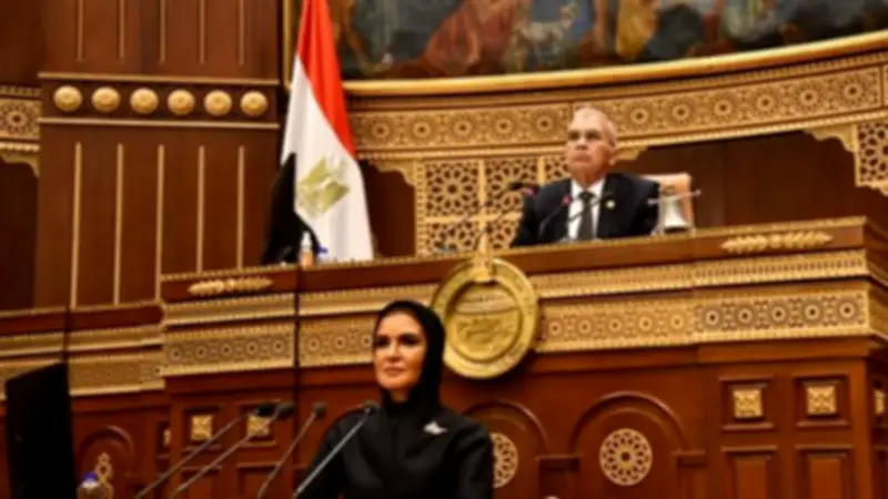 الشيوخ يوافق نهائياً على خطة التنمية ويخطر رئيس الجمهورية والنواب