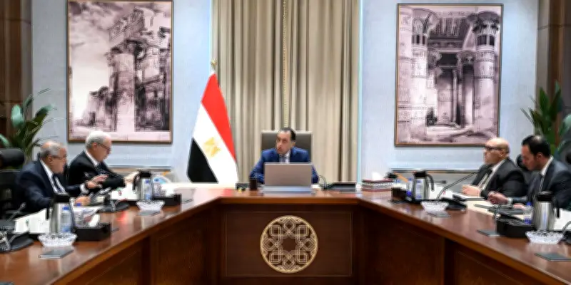 مدبولي: تنفيذ برنامج شامل لإعادة هيكلة الشركات المملوكة للدولة