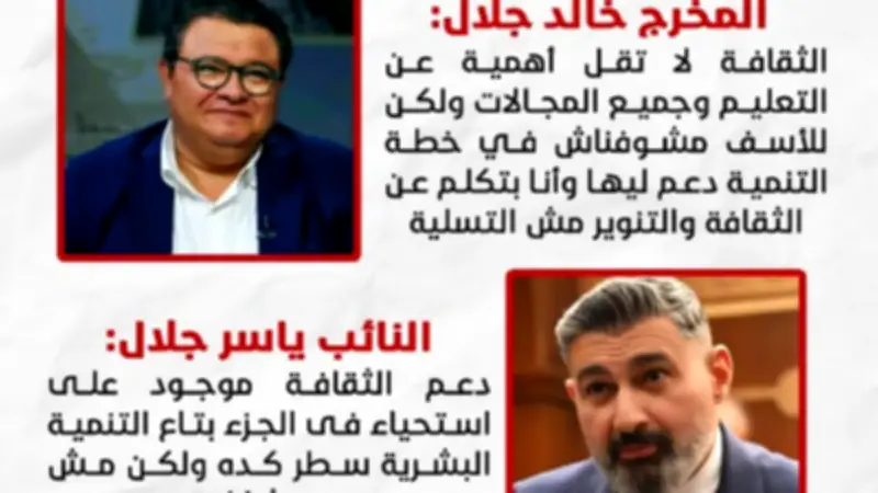 جدل في مجلس الشيوخ حول دعم الثقافة في خطة التنمية