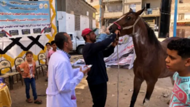 محافظ الدقهلية يتفقد قافلة بيطرية مجانية بقرية نشا ويوجه باستمرارها
