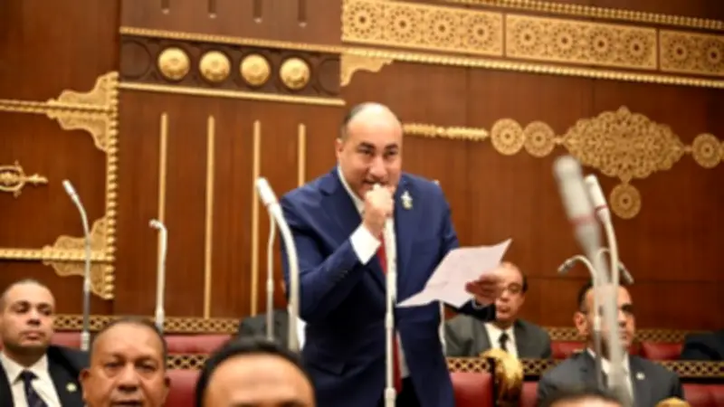 برلماني: خطة التنمية تتطلب مرونة وزيادة دور القطاع الخاص في ظل ظروف عالمية صعبة