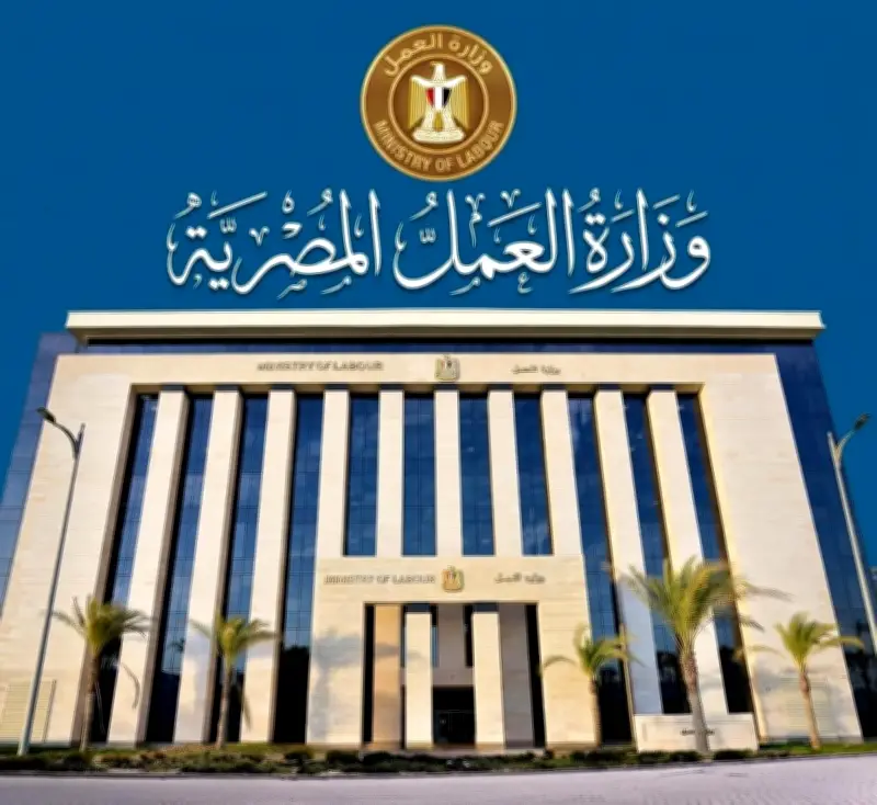 وزارة العمل تحذر من إعلانات التوظيف الوهمية بالخارج وتوضح طريقة التقديم المجانية