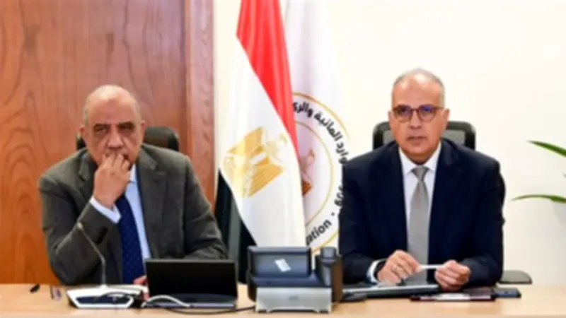 وزيرا الري والكهرباء يبحثان التوسع في الطاقة الشمسية بمحطات الرفع