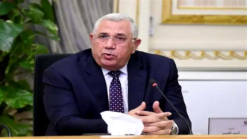«زراعة النواب» تطالب الحكومة بقاعدة بيانات شاملة عن الكلاب الضالة