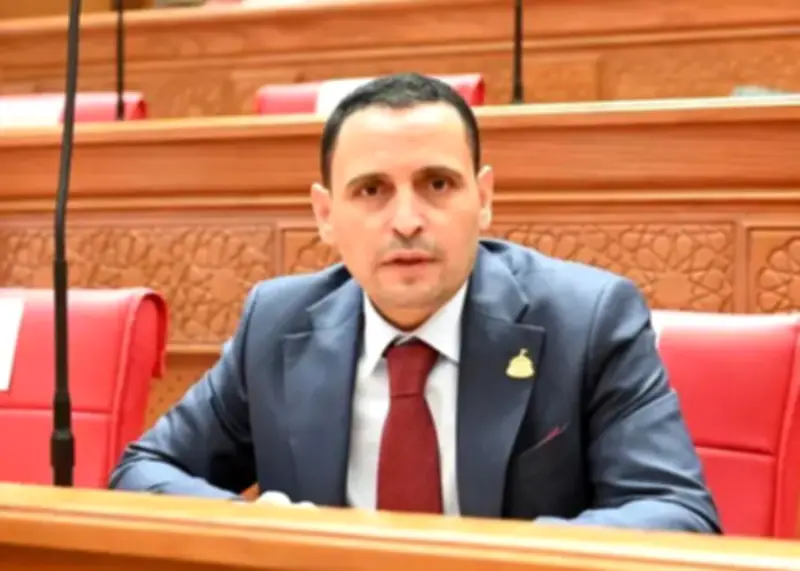 النائب إسلام التلواني: فتح أسواق جديدة للمنتجات المصرية ضرورة وطنية