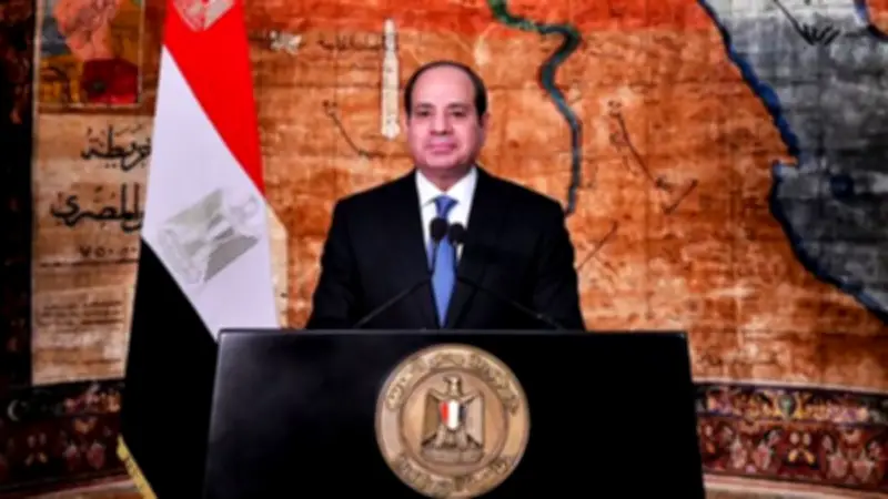 السيسي يؤكد دعم مصر لمشروعات السدود في الكونغو الديمقراطية
