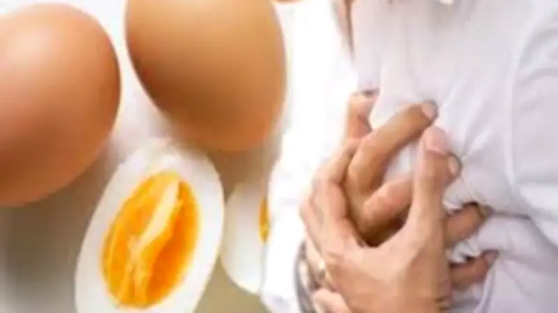 ماذا يحدث للكوليسترول عند تناول البيض يوميًا؟ مفاجأة للكثيرين