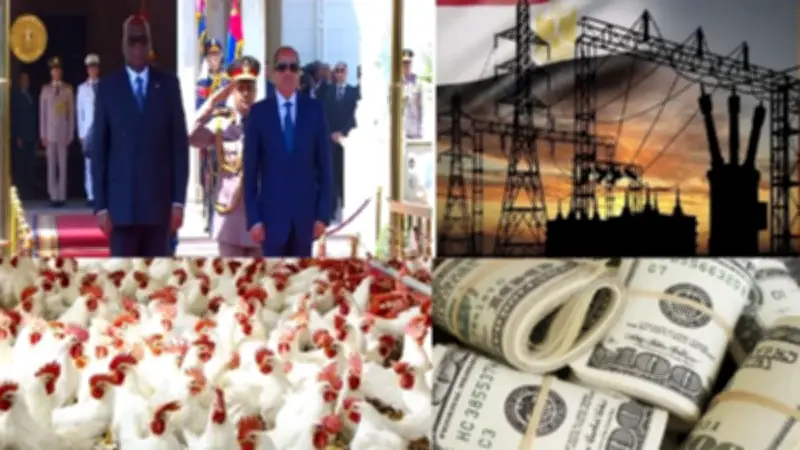 السيسي ونظيره الكونغولي يوقعان مذكرات تفاهم وأسعار الذهب والدولار والدواجن