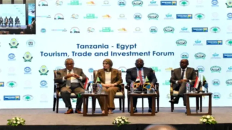 نائب وزير السياحة: تطوير البنية التحتية والتحول الرقمي يعززان مكانة مصر السياحية