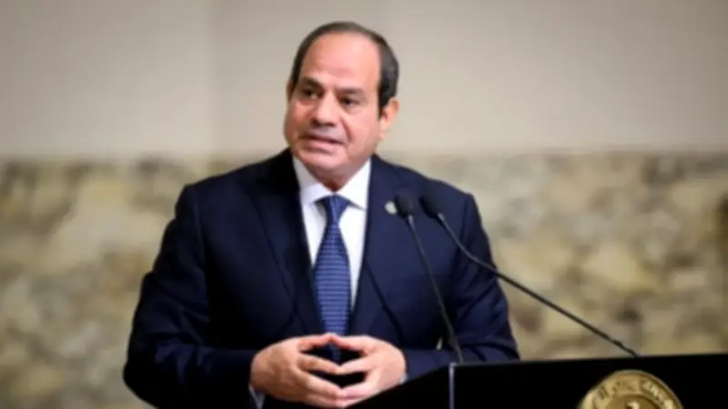 الرئيس السيسي يصف مباحثاته مع رئيس الكونغو بالمثمرة والبناءة