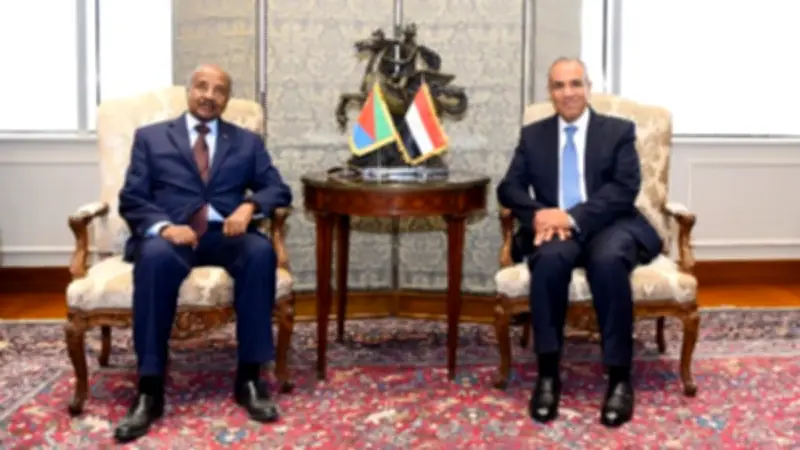 مصر وإريتريا تؤكدان رفض أي أدوار أمنية خارجية في البحر الأحمر
