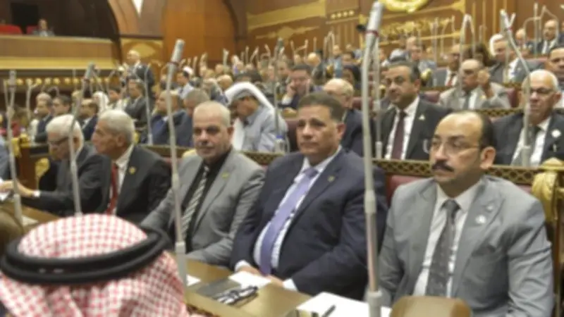 الشيوخ يوافق على تحويل نزلة العطيفي إلى قرية بصدفا