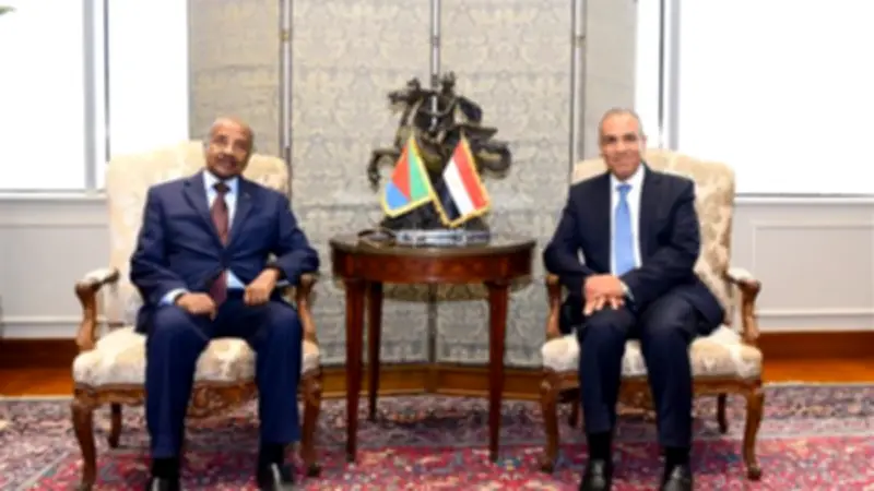 وزير الخارجية يبحث مع نظيره الإريتري تعزيز الشراكة الاستراتيجية