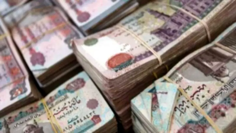 أزمة التأمينات أمام البرلمان.. مصير تعويضات أصحاب المعاشات