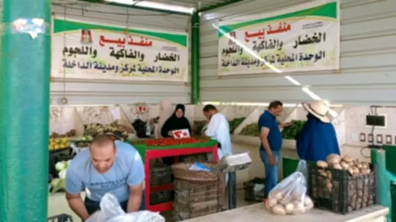 الوادي الجديد تواصل دعم المنافذ الحكومية لتوفير السلع بأسعار مخفضة
