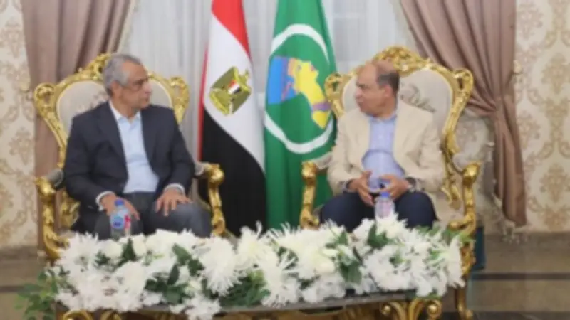 محافظ المنيا ووزير الإنتاج الحربي يتفقدان مشروعات حياة كريمة