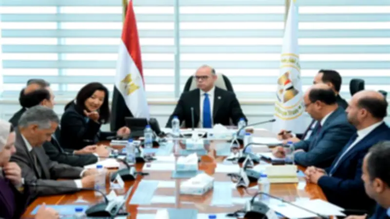 وزير الاستثمار يبحث مع الأمم المتحدة سبل تعزيز التمويل المستدام