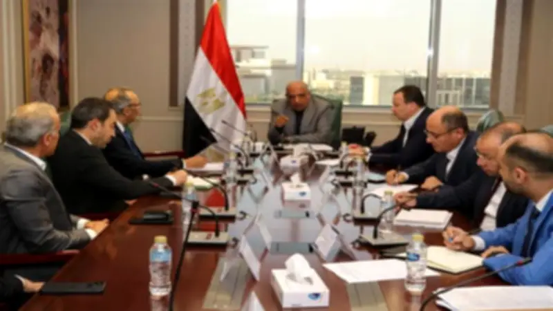 وزير الكهرباء يبحث تنفيذ مشروعات الطاقة المتجددة بالجنيه المصري