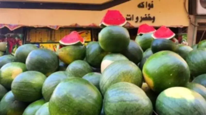 حقيقة البطيخ المسرطن في الأسواق المصرية.. نائب يوضح الحقيقة