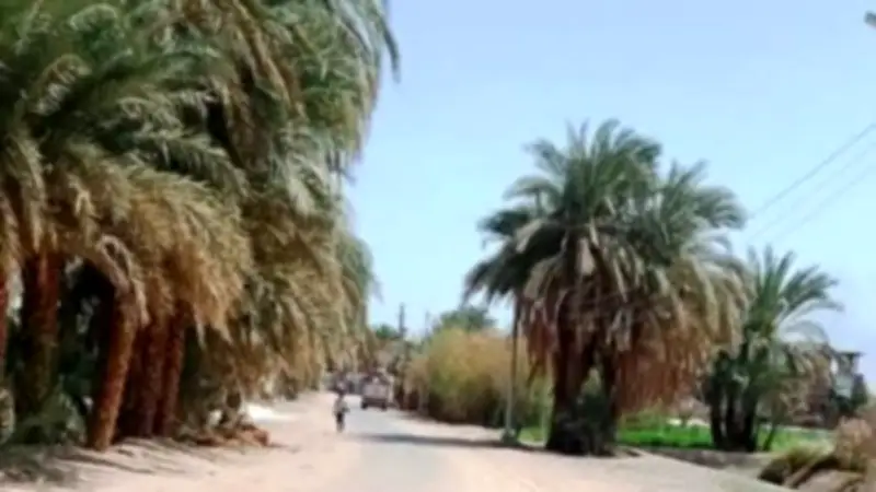 محافظ أسوان يحيل واقعة كسر خطي مياه بقرية منيحة للنيابة العامة