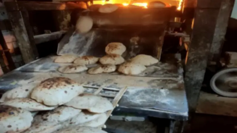 حصة الفرد من الخبز تبقى 5 أرغفة يومياً في الدعم النقدي الجديد