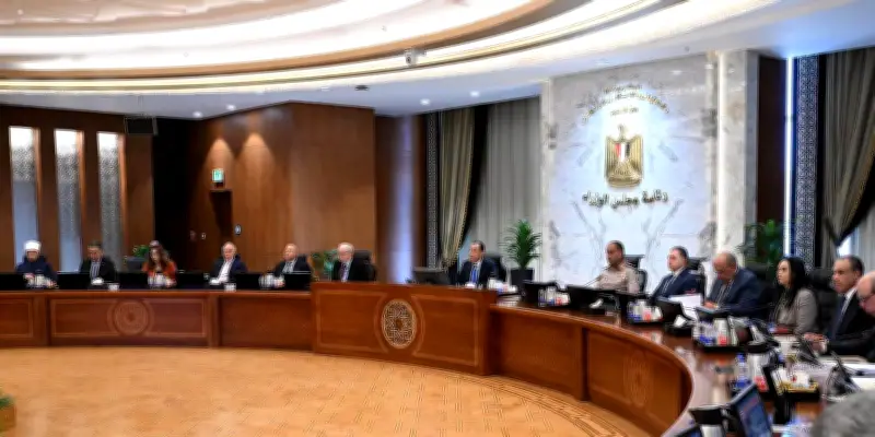 9 قرارات مهمة لمجلس الوزراء بشأن العمل عن بعد والخدمات الحكومية