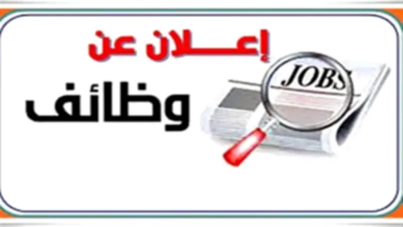 معلومات الوزراء: فجوة الوظائف قد تصل إلى 408 ملايين وظيفة بحلول 2026